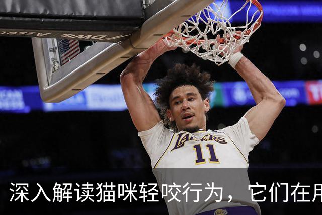 深入解读猫咪轻咬行为，它们在用心交流